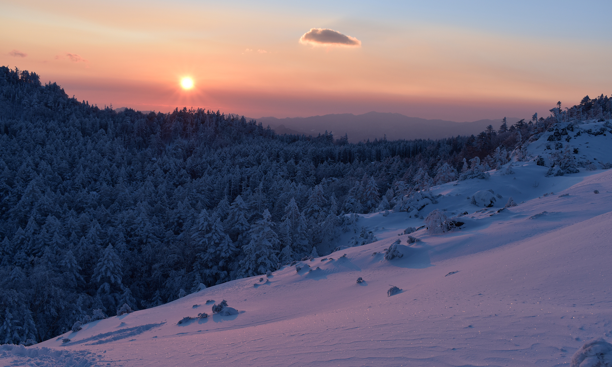 日大理工学部山岳部山稜会